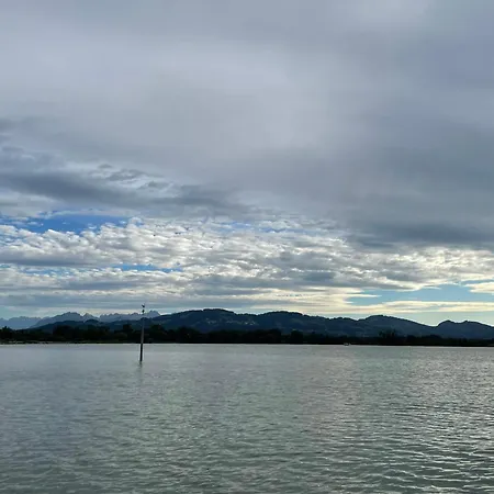 Appartement Ruhige Schoene 2-zimmer Höchst