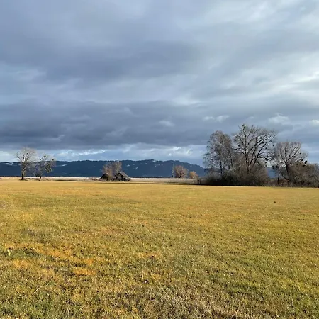 Ruhige Schöne 2-zimmer * Höchst