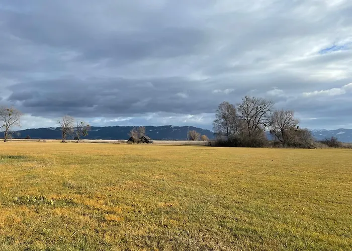 Ruhige Schoene 2-zimmer * Höchst